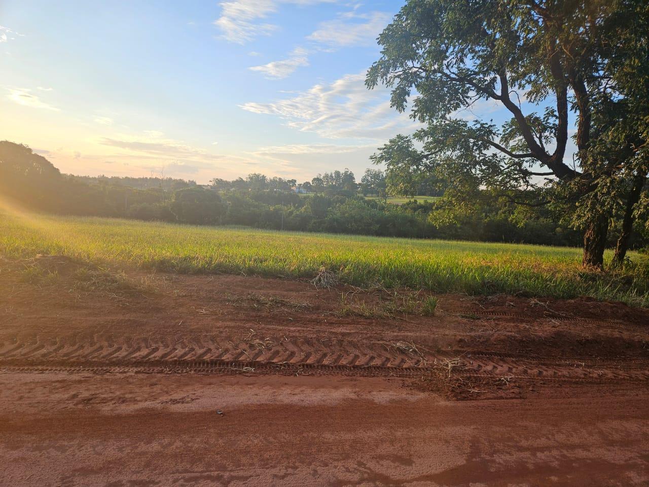 Terreno, 544 m² - Foto 4