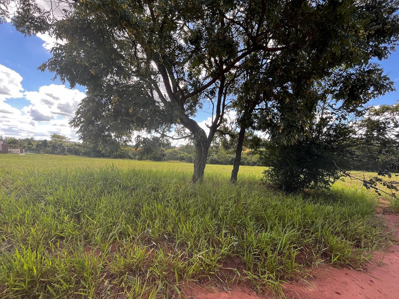 Terreno, 544 m² - Foto 5