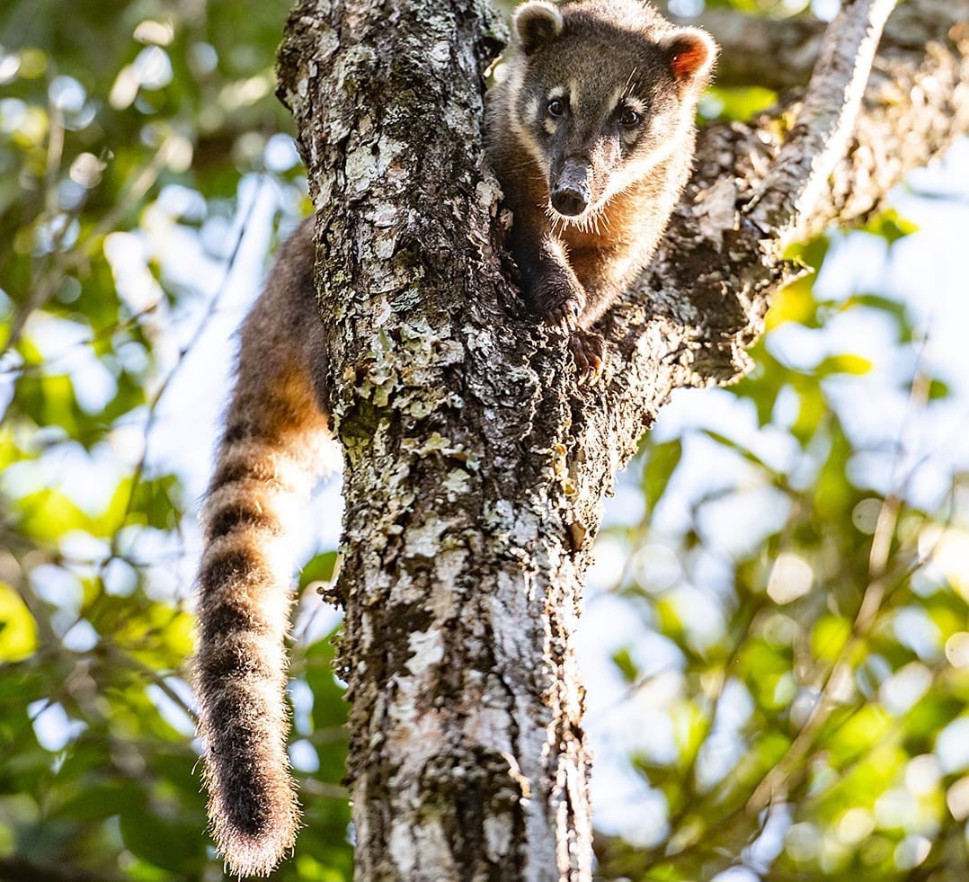 Terreno, 600 m² - Foto 28