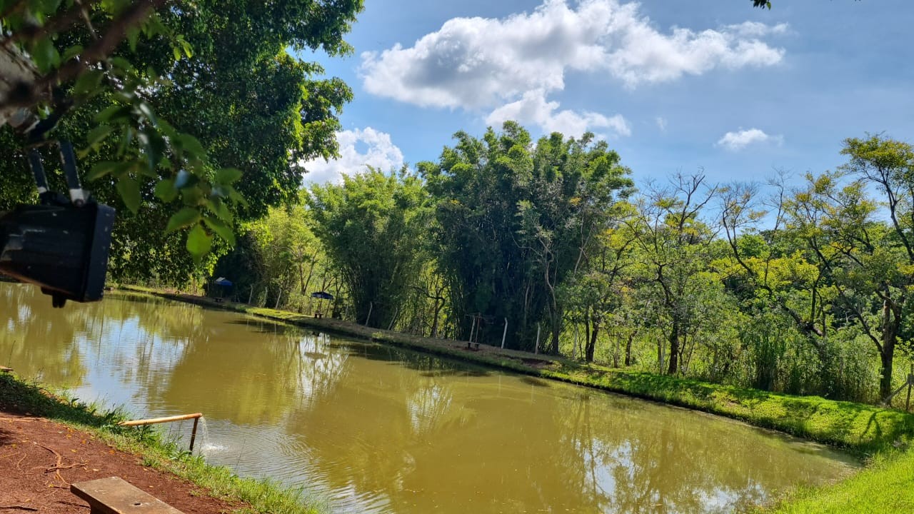 Sítio, 5 hectares - Foto 1