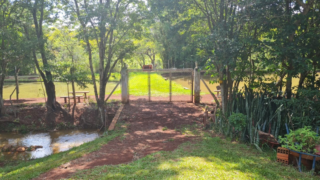 Sítio, 5 hectares - Foto 3