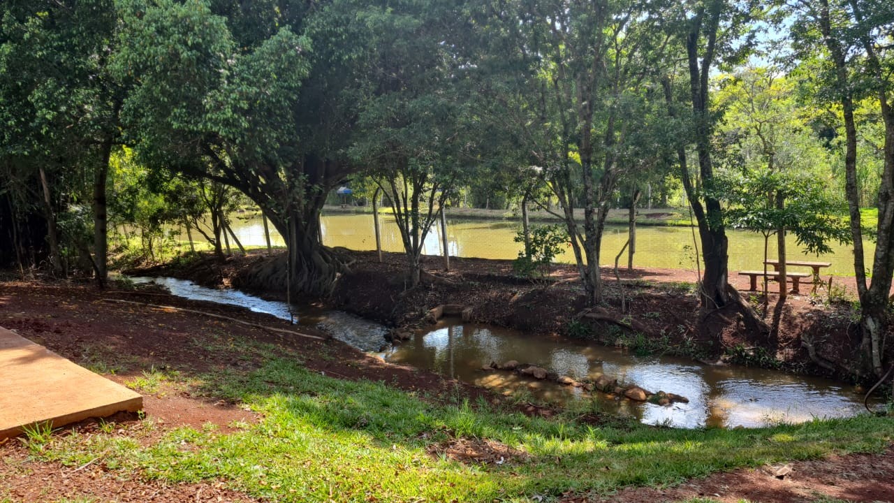 Sítio, 5 hectares - Foto 2