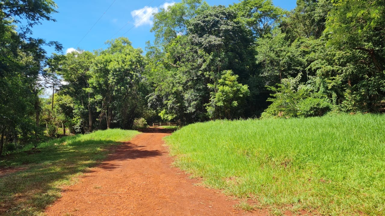 Sítio, 5 hectares - Foto 13