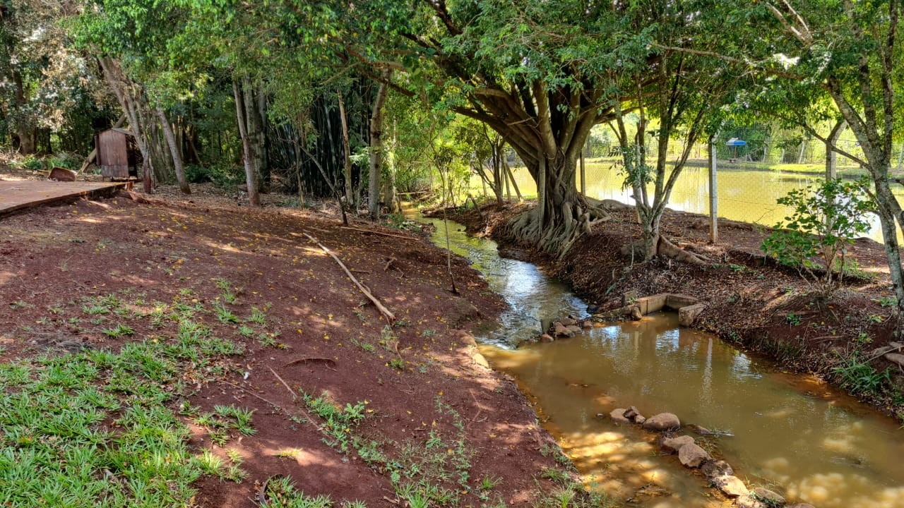 Sítio, 5 hectares - Foto 8