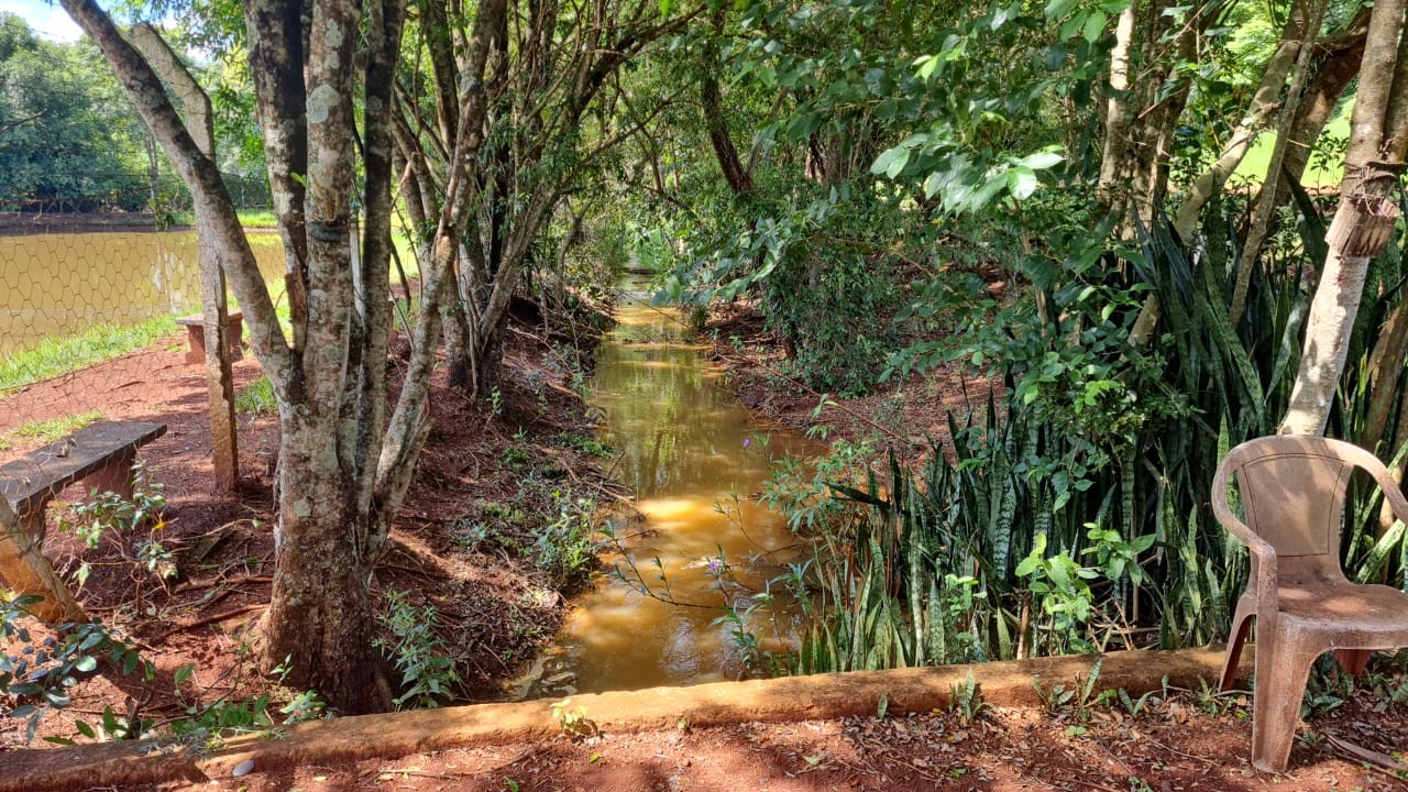 Sítio, 5 hectares - Foto 7