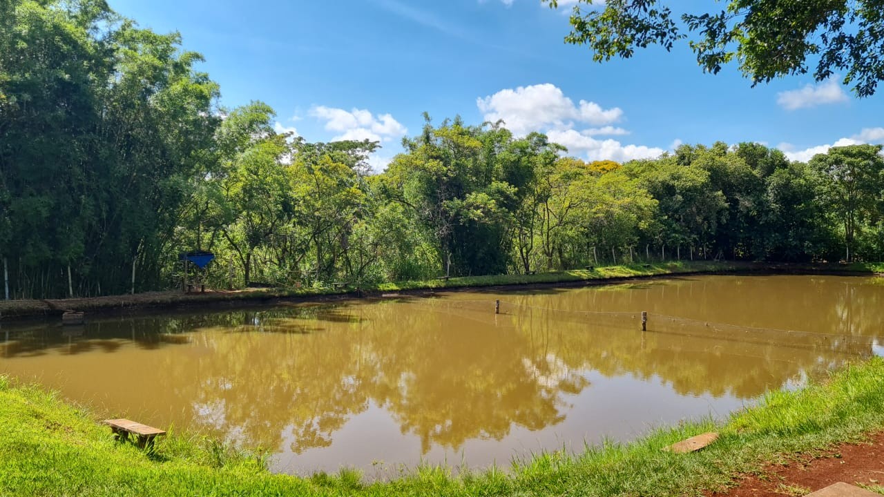 Sítio, 5 hectares - Foto 4