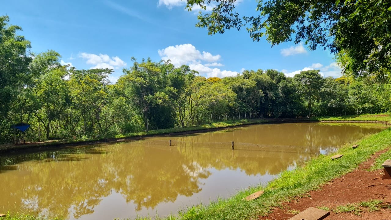 Sítio, 5 hectares - Foto 5