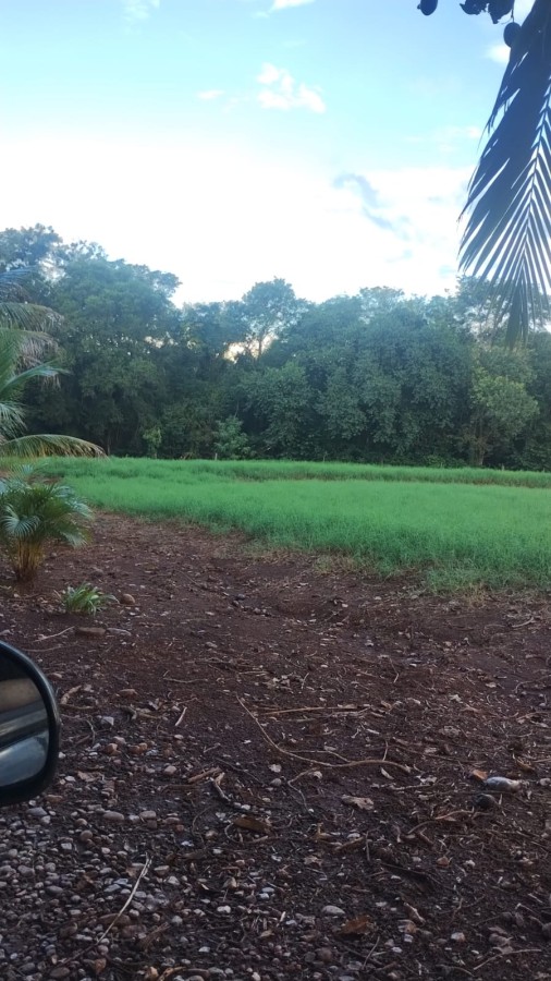 Sítio, 5 hectares - Foto 15