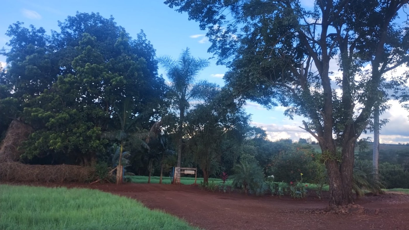 Sítio, 5 hectares - Foto 18