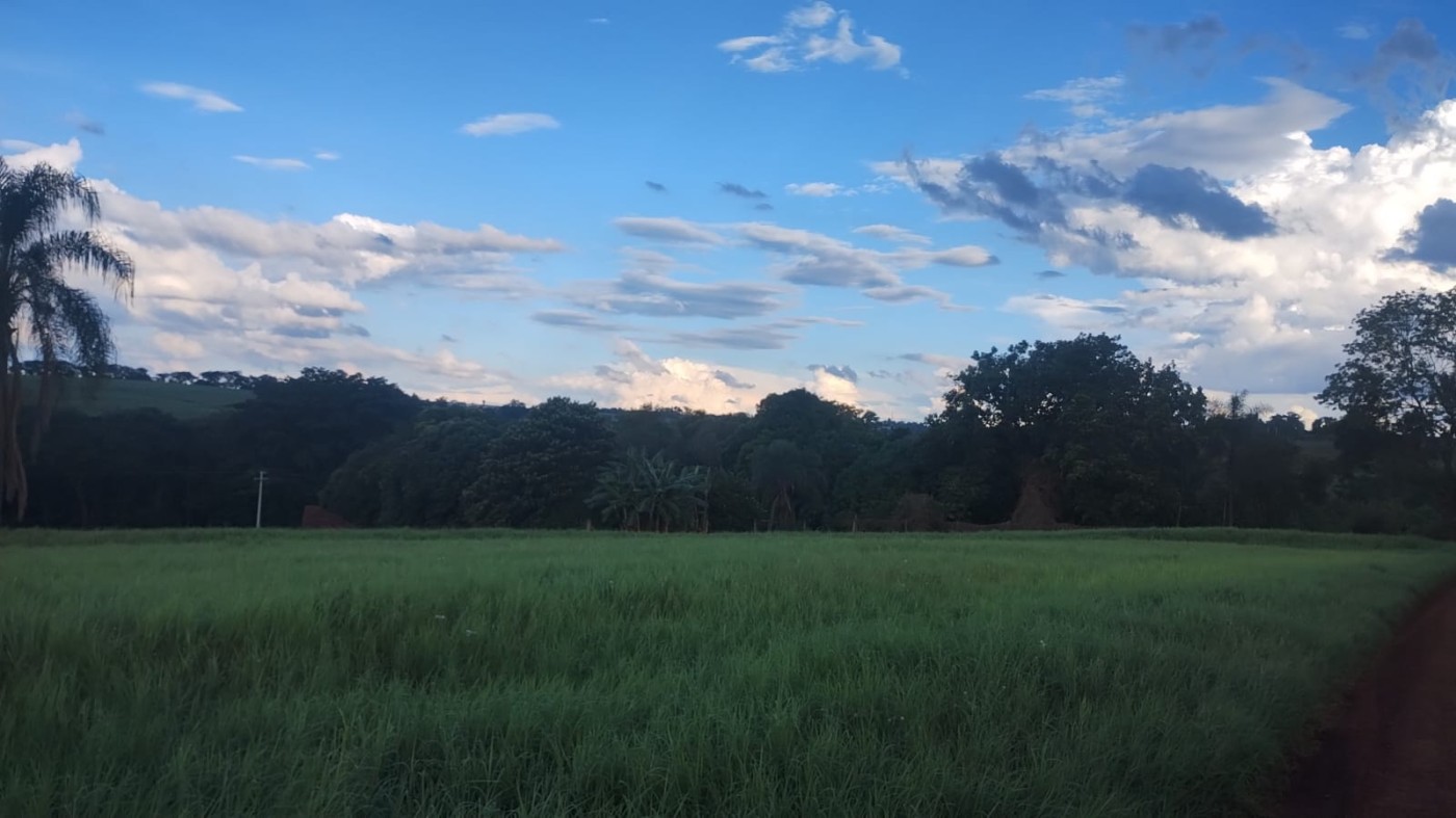 Sítio, 5 hectares - Foto 21