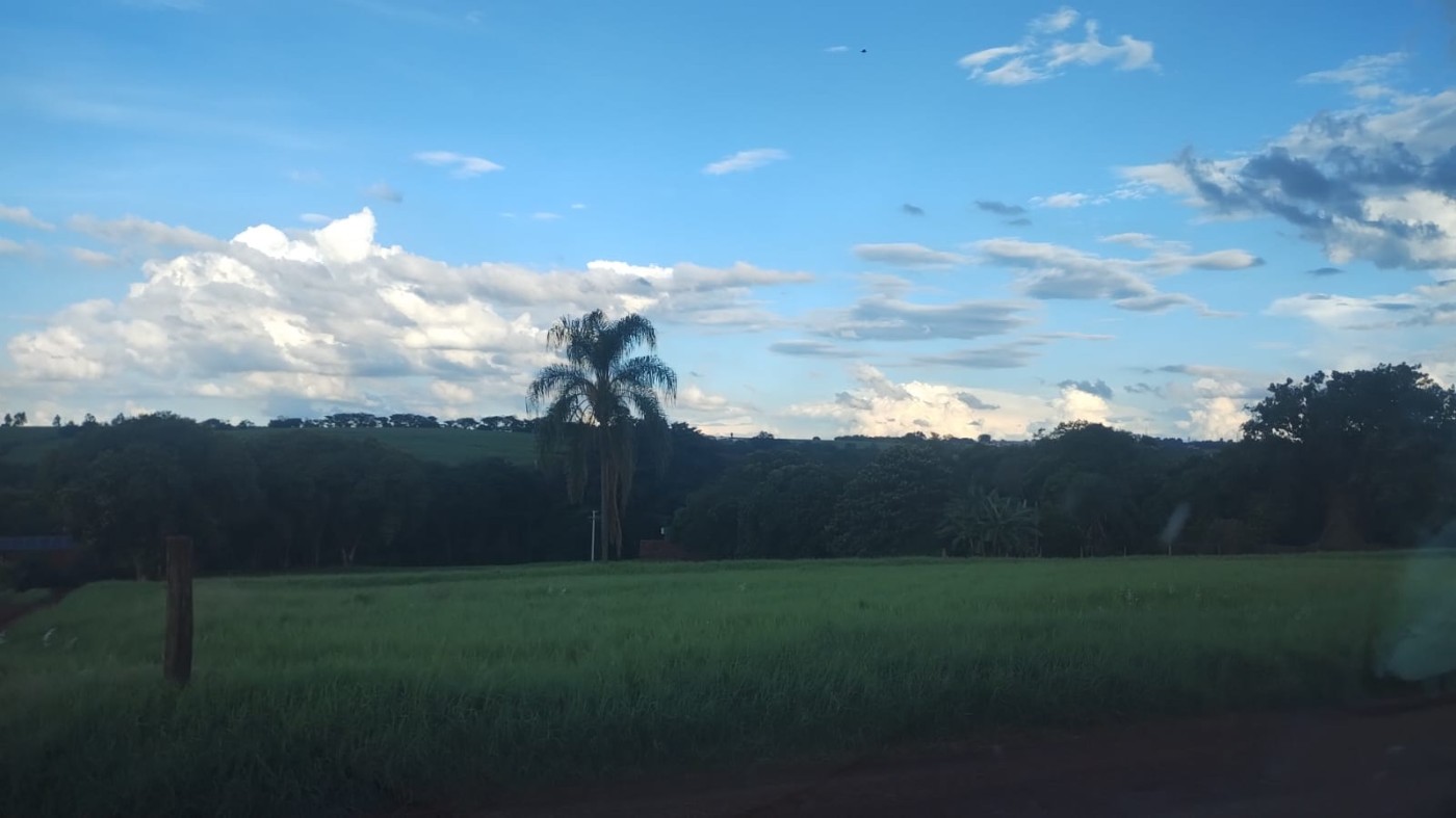 Sítio, 5 hectares - Foto 20