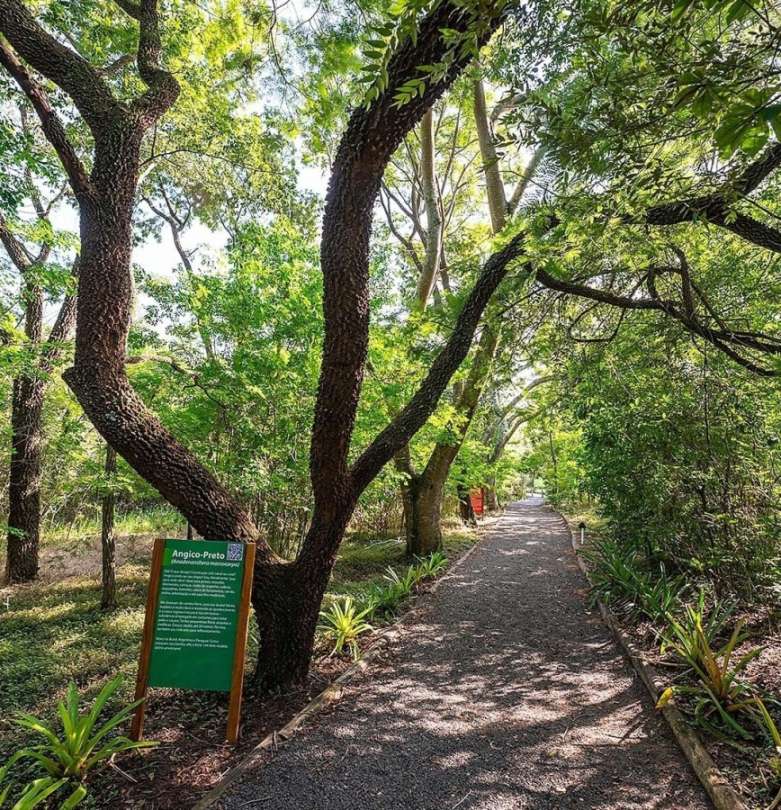 Casa de Condomínio, 3 quartos - Foto 34