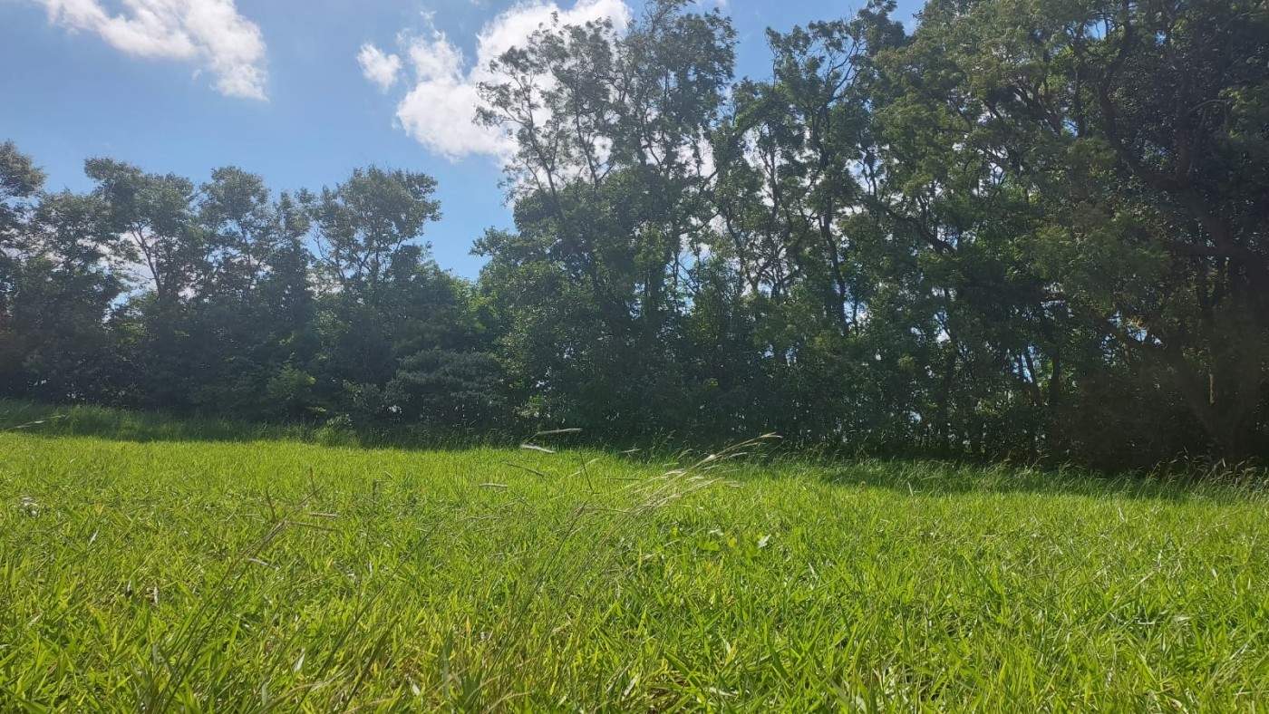 Terreno, 450 m² - Foto 1