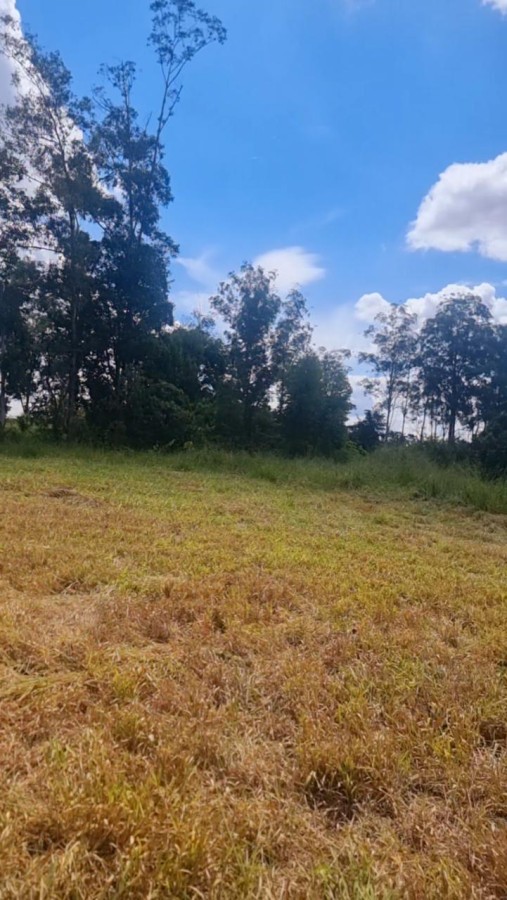 Terreno, 894 m² - Foto 1