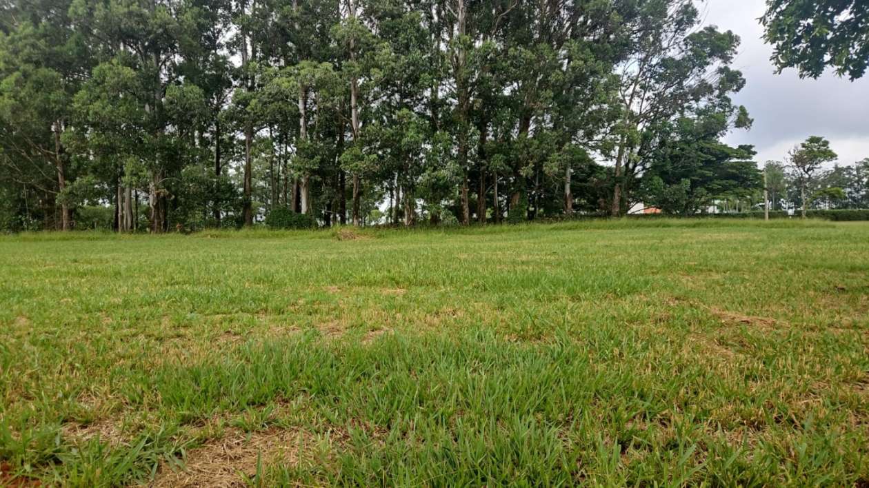 Terreno, 554 m² - Foto 1