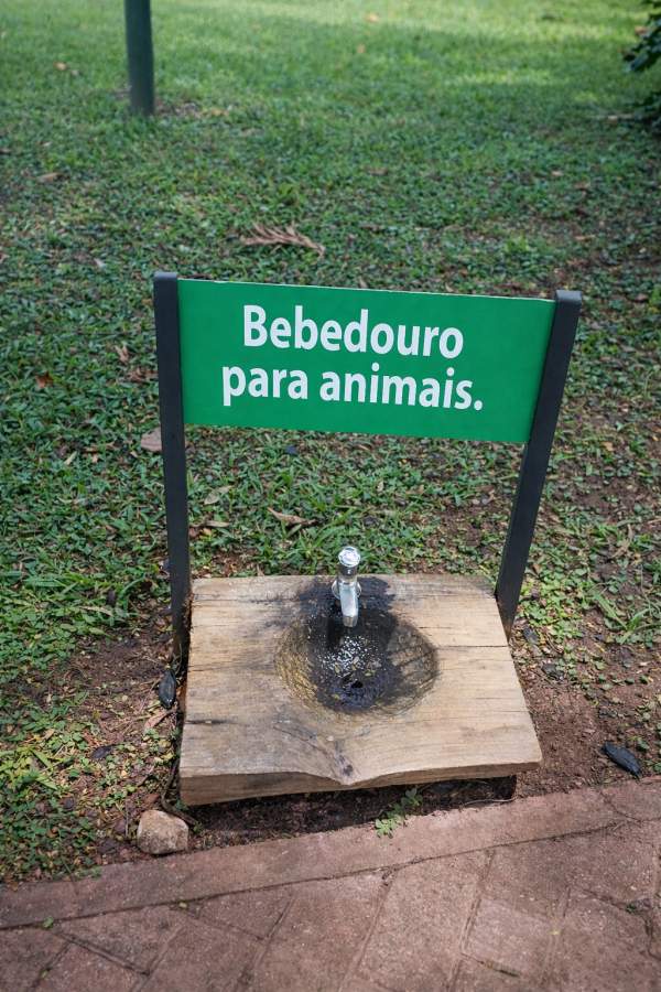 Terreno, 570 m² - Foto 38