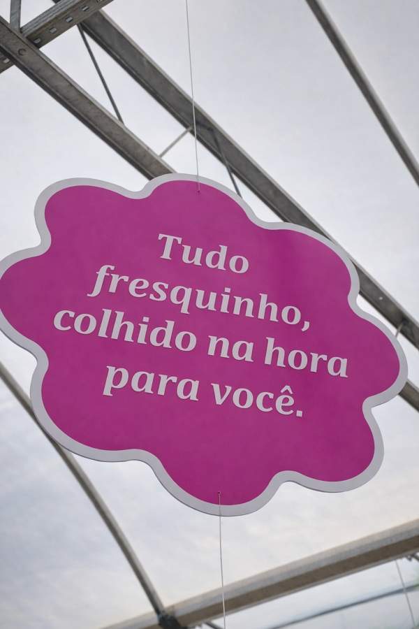 Terreno, 450 m² - Foto 37