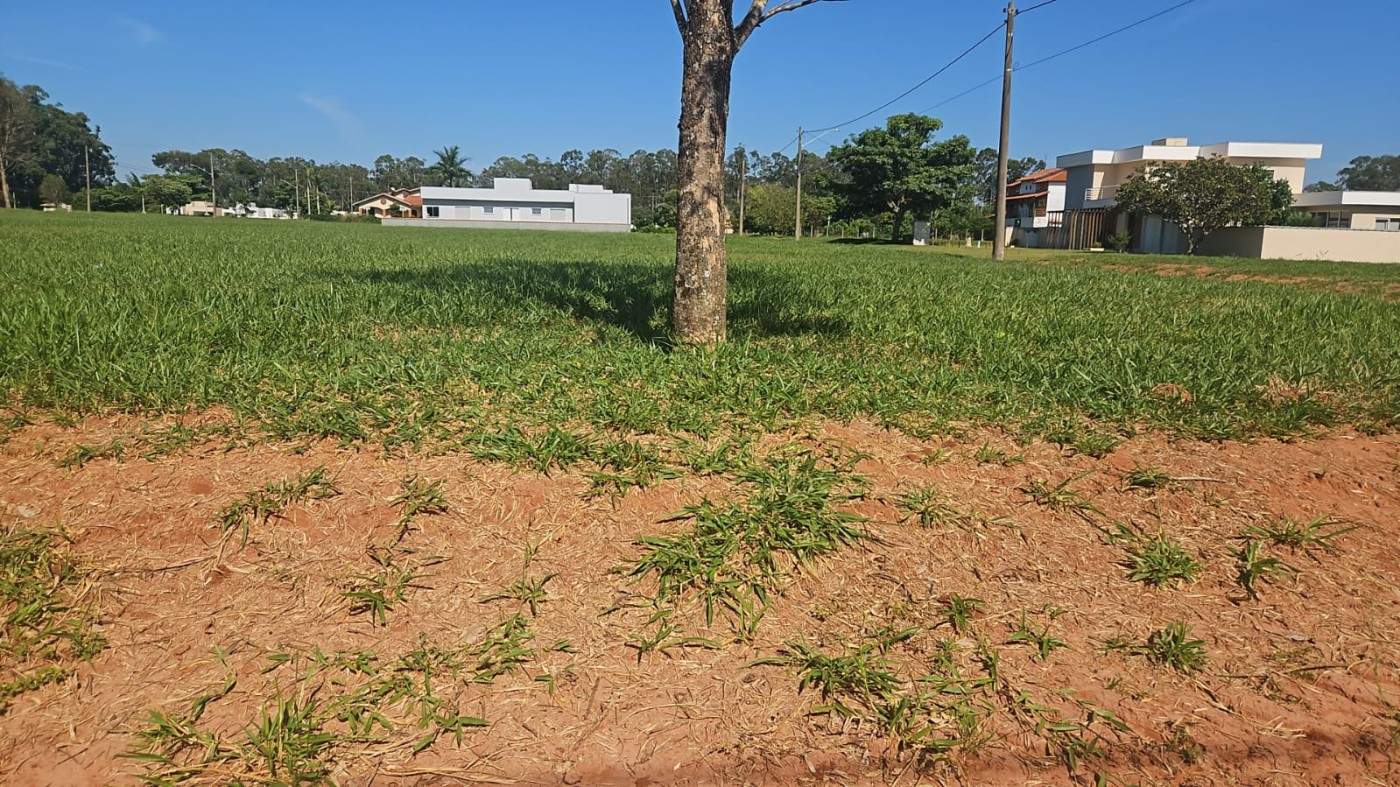 Terreno, 533 m² - Foto 1