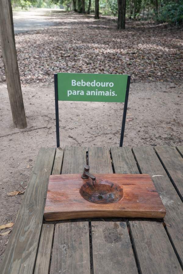 Terreno, 551 m² - Foto 37