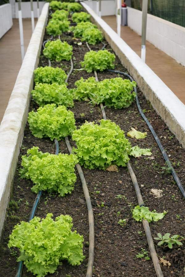 Terreno, 551 m² - Foto 41