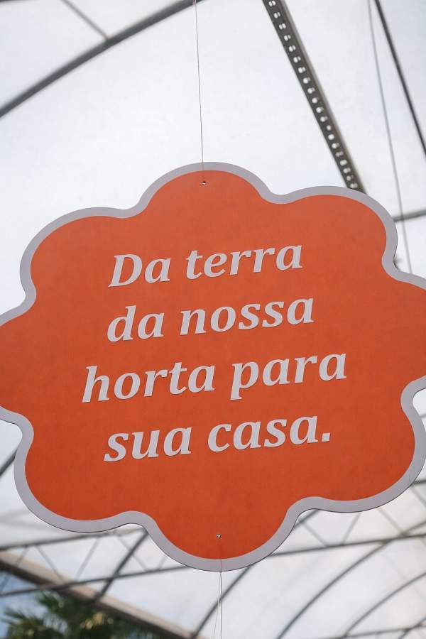 Terreno, 551 m² - Foto 43